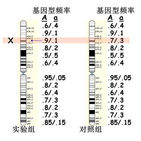 算命什么时候生孩子|科学算命：测测你什么时候生孩子？